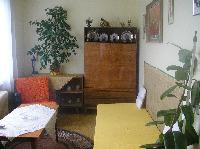 dtsk pokoj v pate